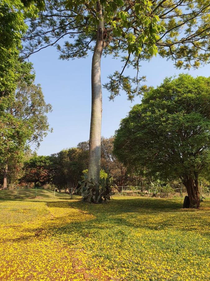 Fazenda Santa Clementina Daire Araras  Dış mekan fotoğraf