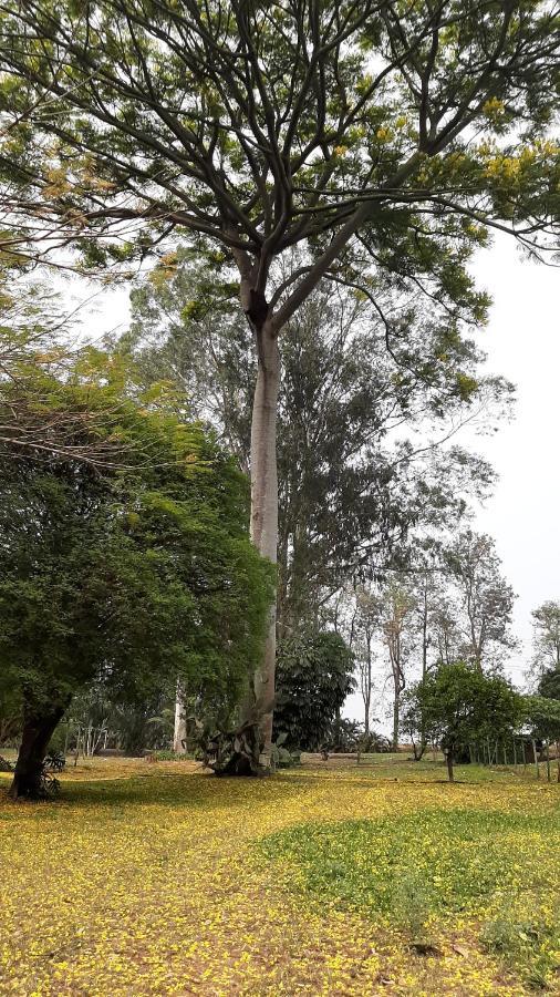 Fazenda Santa Clementina Daire Araras  Dış mekan fotoğraf